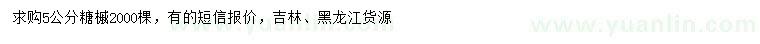 求購5公分糖槭
