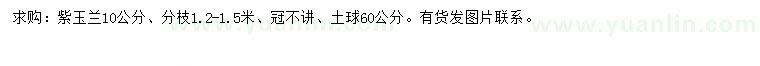 求購10公分紫玉蘭