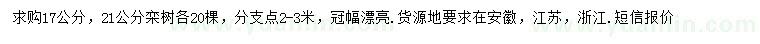 求購17、21公分欒樹