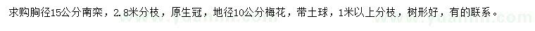 求購胸徑15公分南欒、地徑10公分梅花