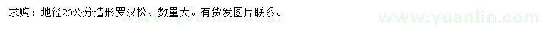 求購地徑20公分造形羅漢松