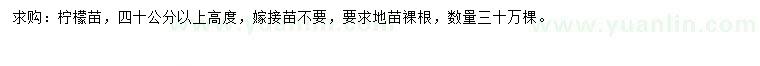 求購高度40公分以上檸檬苗