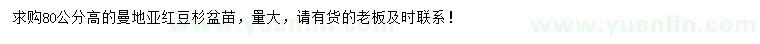 求購高80公分曼地亞紅豆杉