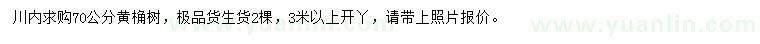求購70公分黃桷樹