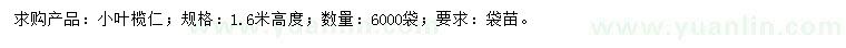 求購(gòu)高1.6米小葉欖仁