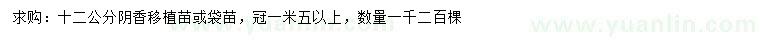 求購12公分陰香