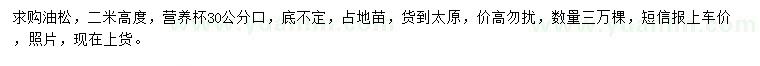求購高2米油松