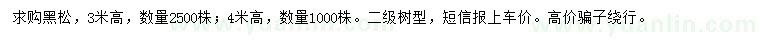 求購高3米黑松