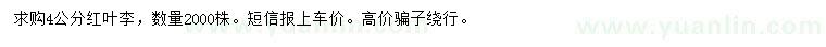 求購4公分紅葉李