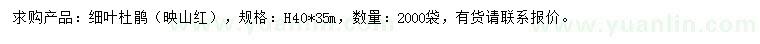 求購高40公分細葉杜鵑