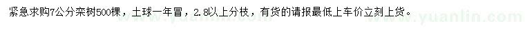 求購7公分欒樹