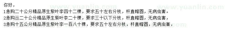 求購15、20公分紫葉李