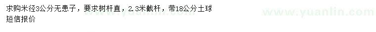 求購米徑3公分無患子