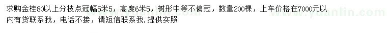 求購高6.5米金桂