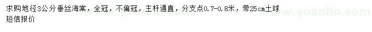 求購地徑3公分垂絲海棠