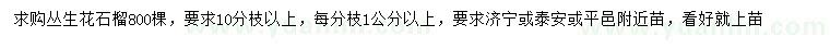 求購叢生花石榴