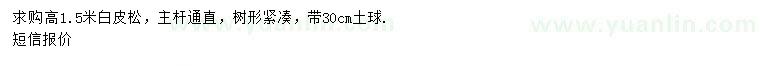 求購(gòu)高1.5米白皮松