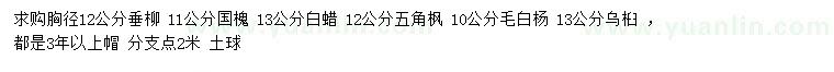 求購(gòu)垂柳、國(guó)槐、白蠟等