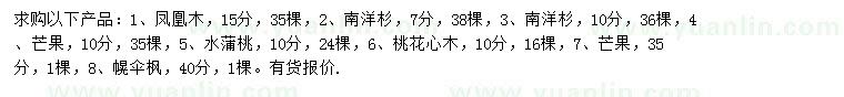 求購(gòu)鳳凰木、南洋杉、芒果樹(shù)等