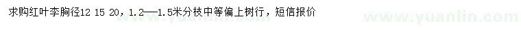 求購(gòu)胸徑12、15、20紅葉李