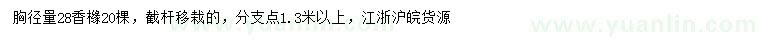 求購(gòu)胸徑28公分香櫞