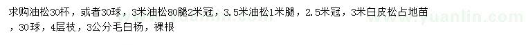 求購油松、白皮松、毛白楊