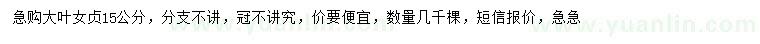 求購15公分大葉女貞