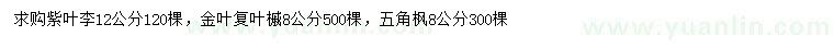 求購紫葉李、金葉復(fù)葉槭、五角楓