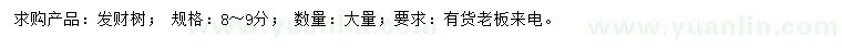 求購8-9公分發(fā)財(cái)樹