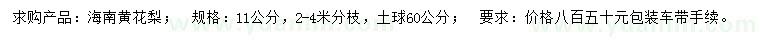 求購11公分海南黃花梨