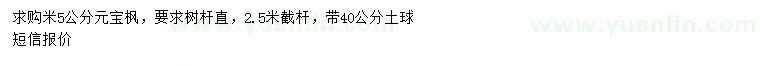 求購(gòu)米5公分元寶楓