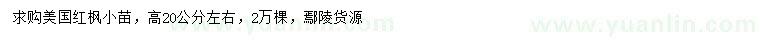 求購高20公分美國紅楓