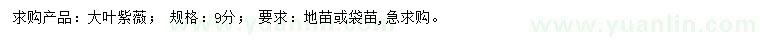 求購(gòu)9公分大葉紫薇