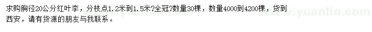 求購胸徑20公分紅葉李
