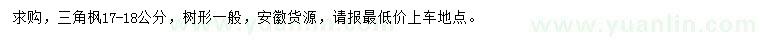 求購17-18公分三角楓