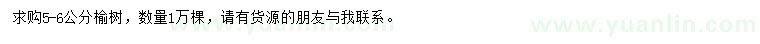 求購5-6公分榆樹
