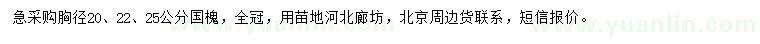求購胸徑20、22、25公分國槐