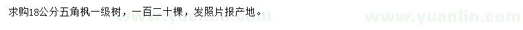 求購18公分五角楓