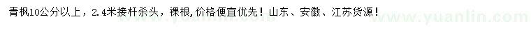 求購10公分以上青楓