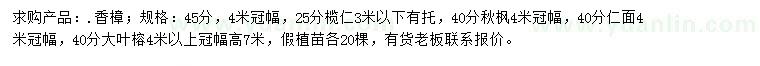 求購香樟、欖仁、秋楓等