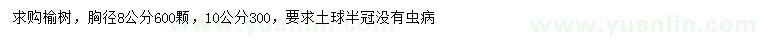 求購胸徑8、10公分榆樹