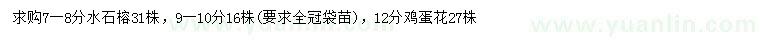 求購7-10公分水石榕、12公分雞蛋花