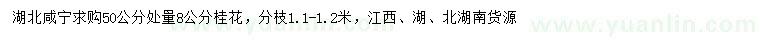 求購50處量8公分桂花