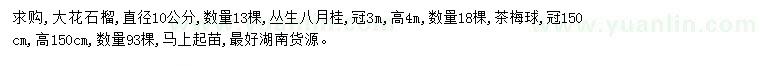 求購大花石榴、叢生八月桂、茶梅球