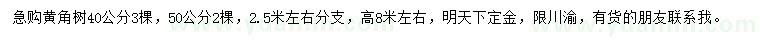 求購(gòu)40、50公分黃角樹(shù)