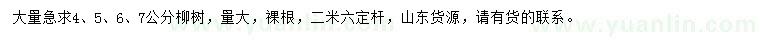 求購4、5、6、7公分柳樹