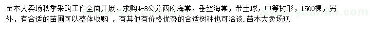 求購4-8公分西府海棠、垂絲海棠