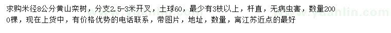 求購米徑8公分黃山欒樹