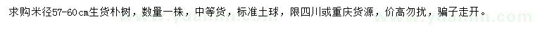 求購米徑57-60公分樸樹
