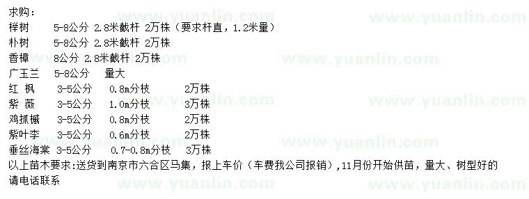 求購(gòu)櫸樹、樸樹、香樟等